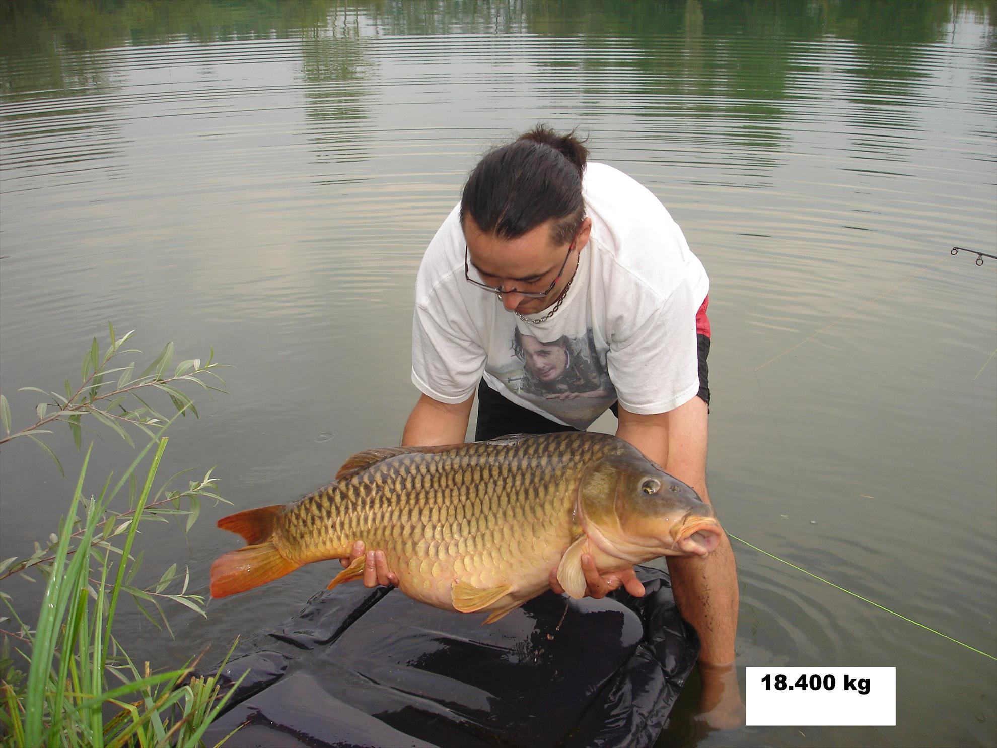 THE BIGS OF 2011 - p1000119.JPG